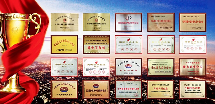 9001诚信金沙(中国)有限公司