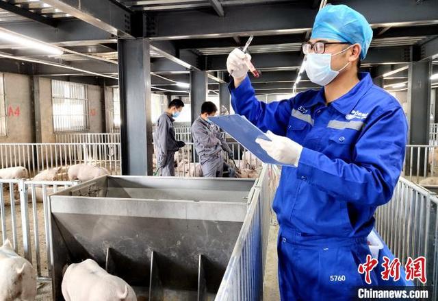 9001诚信金沙(中国)有限公司