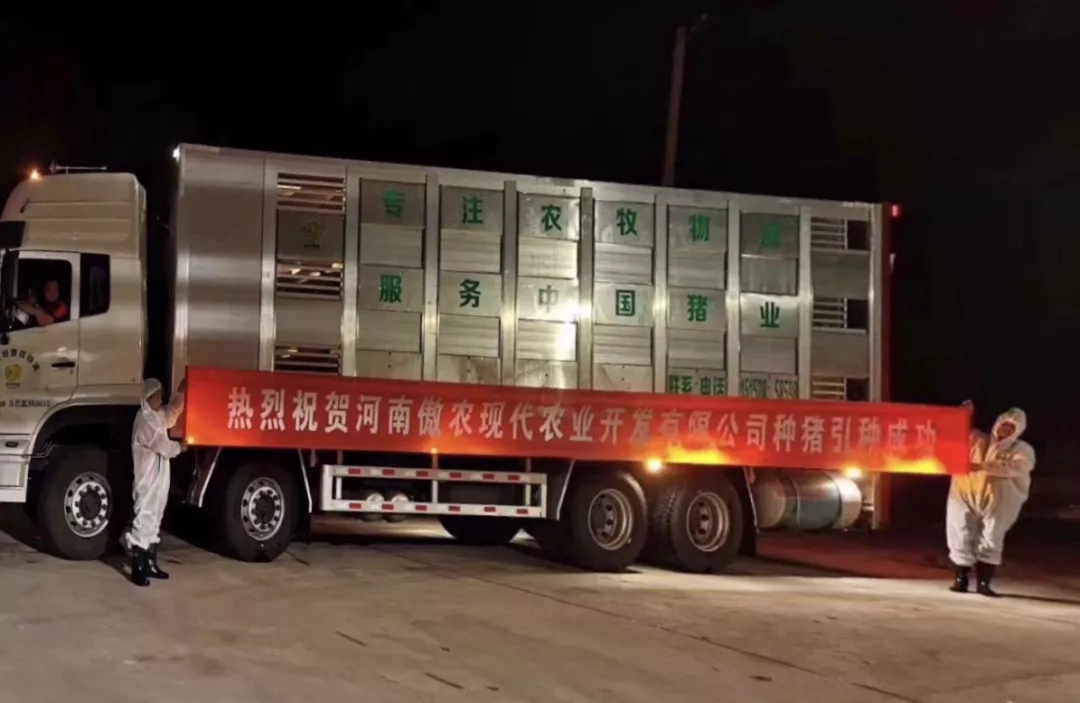 9001诚信金沙(中国)有限公司